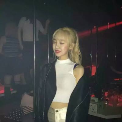 口袋暴龙小米版下载