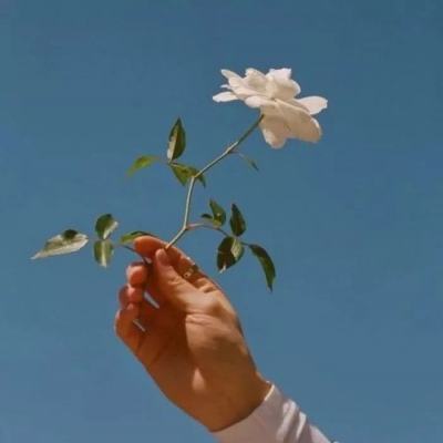 斗战魂手机游戏下载